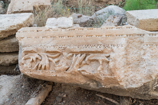 Ancient Carved Stone Fragment with Floral Ornament at Archaeological Site