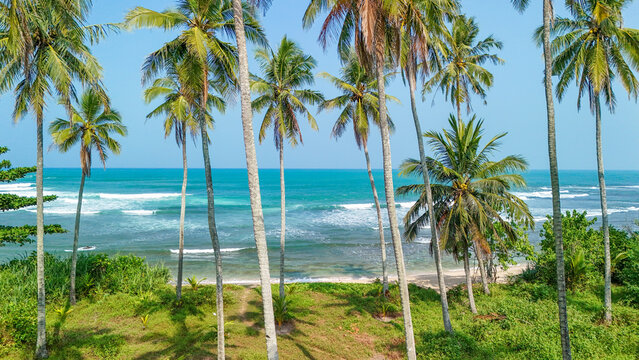 Aerial view of a tropical beach with tall palm trees, turquoise sea, and gentle waves crashing on the shore in Indonesia.