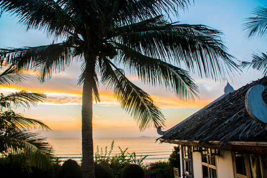 Tropical palm tree silhouette over sea at golden sunset with thatched roof bungalow resort
