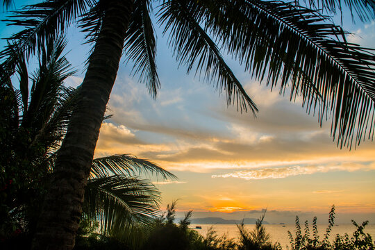 Tropical palm tree silhouette over sea at golden sunset with thatched roof bungalow resort