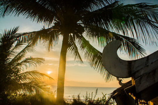 Tropical palm tree silhouette over sea at golden sunset with thatched roof bungalow resort