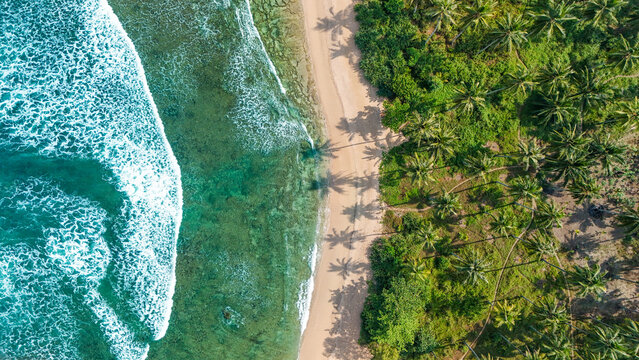 Aerial view of a tropical beach with turquoise waves crashing on the sandy shore, bordered by a dense grove of palm trees casting long shadows on the sand in Indonesia.
