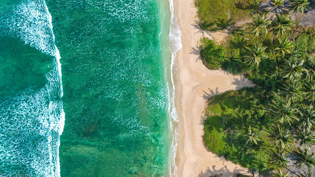 Aerial view of a pristine beach with turquoise waves crashing against the white sand shore, bordered by a dense grove of lush green palm trees in Indonesia.
