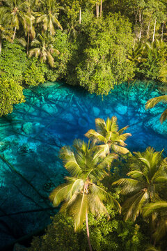 Aerial view of Danau Paisu Pok Luk Panenteng with its vibrant turquoise water surrounded by lush palm trees and dense tropical vegetation in Bulagi Utara, Central Sulawesi, Indonesia.
