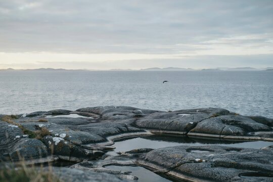A tranquil coastal landscape featuring dark jagged rocks in the foreground with tide pools and a calm sea under a soft overcast cloudy sky