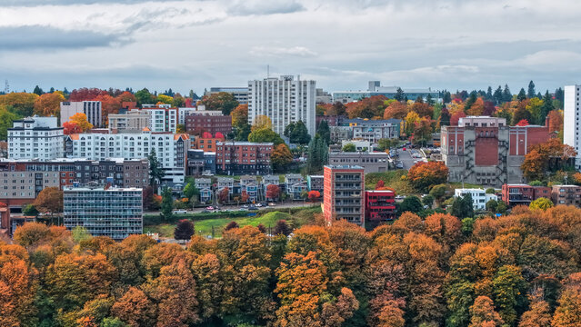 Tacoma cityscape with colorful autumn foliage and urban buildings