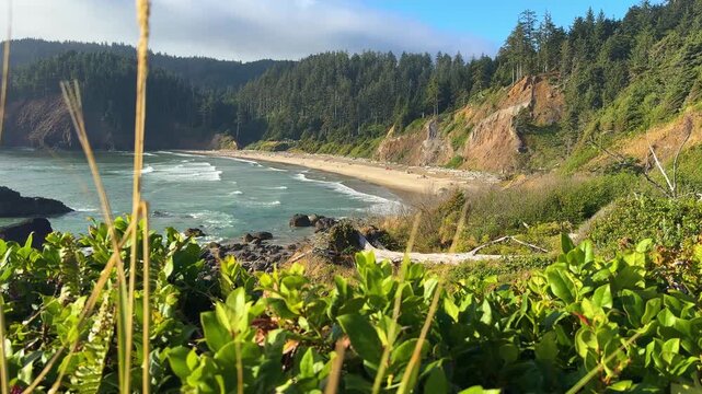 Crescent Beach Below Forested Cliffs at Ecola State Park Oregon