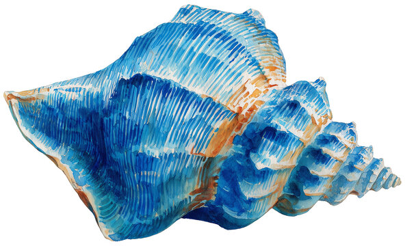 Water color illustration of seashell on transparent background