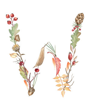 Autumn alphabet letter W created from leaves, pine needles, pine cone, acorns, berries, and twigs. Beautiful and elegant capital letter for books, stickers, monograms, education projects