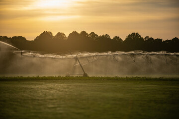 Irrigation system supports farming. Sprinkler irrigation waters field. Water droplets form mist. Green landscape remains fresh. © Svitlana