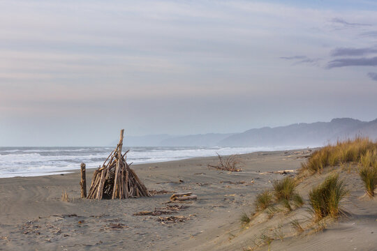 Pacific ocean coast