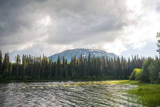 Summer lake