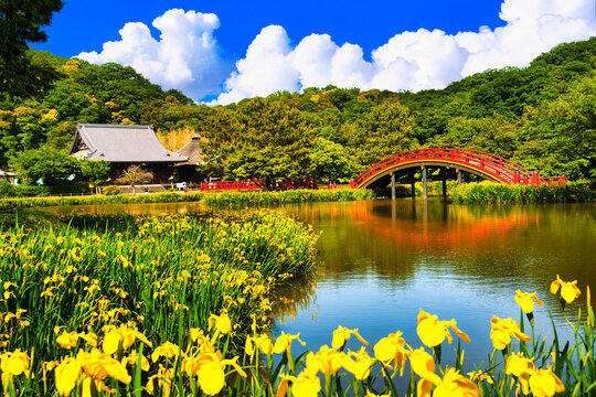 春の金沢八景の称名寺庭園の絶景