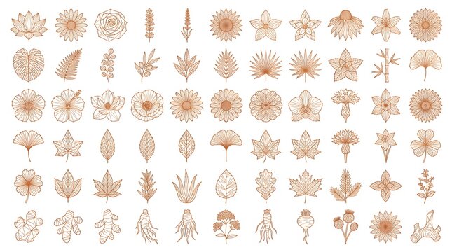 Wellness Herb Thread String Art Vector Set 50 Elements Geometric Botanical