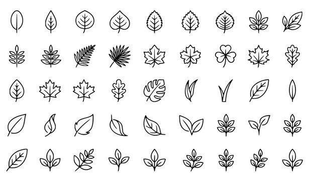 Leaves Thin Line Icon Set Editable Vector 256x256 Pixel Perfect
