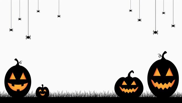 Halloween background with pumpkins and spiders isolated on white background