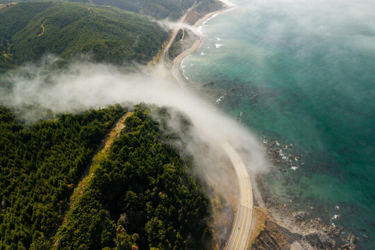 Aerial view of Highway 101 winding along the rugged Oregon coast, surrounded by dense forests and shrouded in rolling fog above the Pacific Ocean. Port Orford, Oregon, United States.