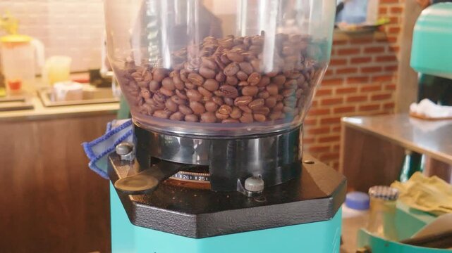 Fresh roasted coffee beans inside a clear hopper of a commercial grinder in a cafe.