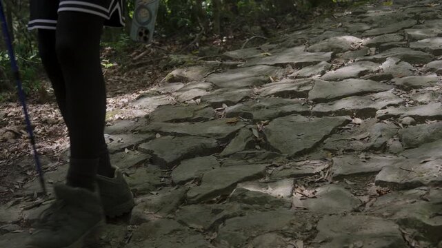 Stone-Paved Path from Mt. Iimori (Iimoriyama) to Takahara, Kumano Kodo Nakahechi Route, Tanabe City, Wakayama, Japan　熊野古道 中辺路「飯盛山(めしもりやま)から高原へ行く石畳道」和歌山県田辺市