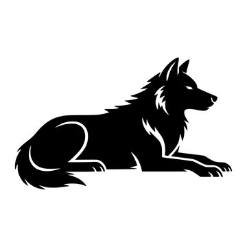 Wolf Lying Down