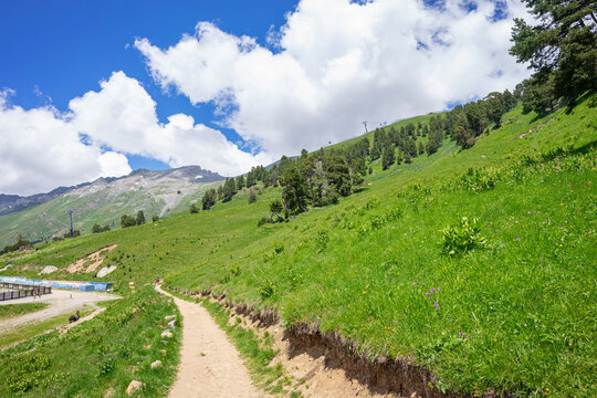 Flowering clearing on top of the Caucasus Mountains . Walking and hiking in the mountains Arkhyz. Beautiful view of the mountains in summer in a quality photo