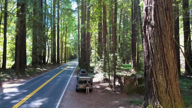 A mature woman enjoys lunch next to a teardrop camper in Navarro River Redwood State Park surrounded by giant redwood trees.