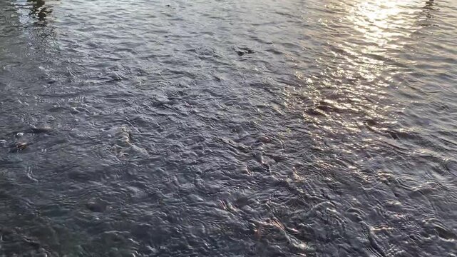 Calm water surface reflecting ambient light during sunset or sunrise.