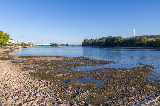 river rhine at low water in Mainz-Kastel, Rhineland Palatinate