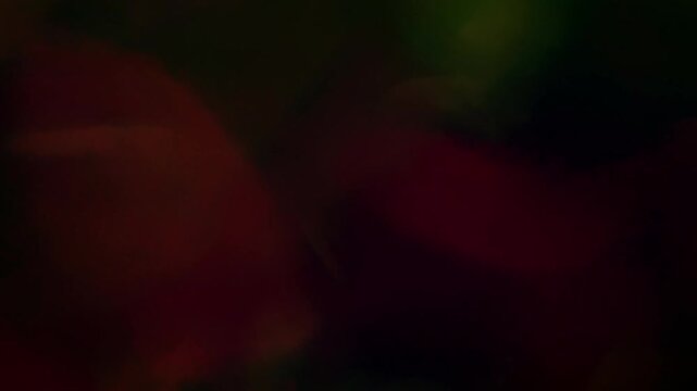Deep red light leak overlay effect. Warm maroon glowing bokeh and lens flare. Dramatic moody film burn background for cinematic video.