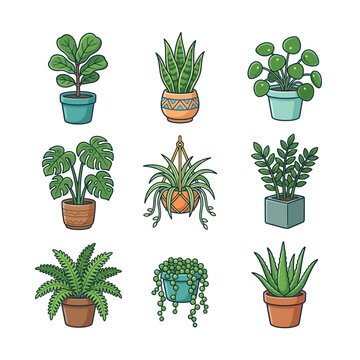 Collection of Various Potted Houseplants Illustrating Botanical Interior Decor Elements PET1 99