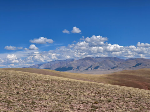 Photo of Altai natural landscape under blue sky. Altai desert and semi-desert environment.
