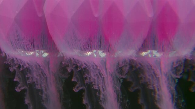 Ink smoke. Blur kaleidoscope. Pink dye pouring on diamond sphere. Doubled lens effect pigment dissolving water abstract black background.