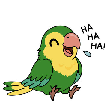 The green parrot laugh.