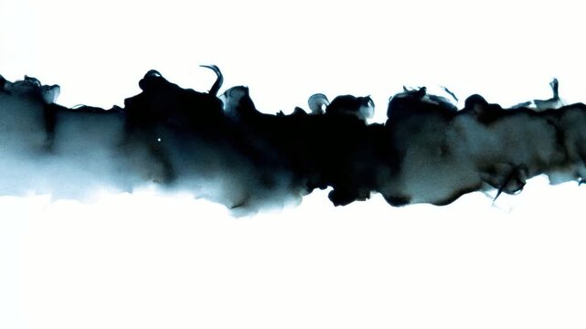 Abstract black ink plume flowing across white background, background animation seamless loop