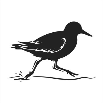 Vector illustration of a sandpiper shorebird running on beach