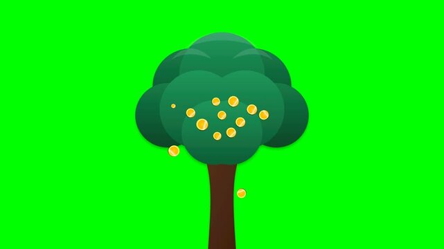 Animated Money Tree Growing Golden Coins Falling Seamless Loop on Green Screen 4K Flat Vector Financial Growth Concept