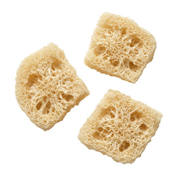 Natural loofah sponge pieces with rough texture and sensory porous surface for exfoliating and cleaning skin