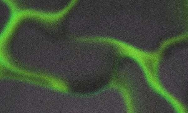 A dark grainy background featuring glowing bright green organic flowing veins or neural pathways creating a microscopic biological abstract pattern