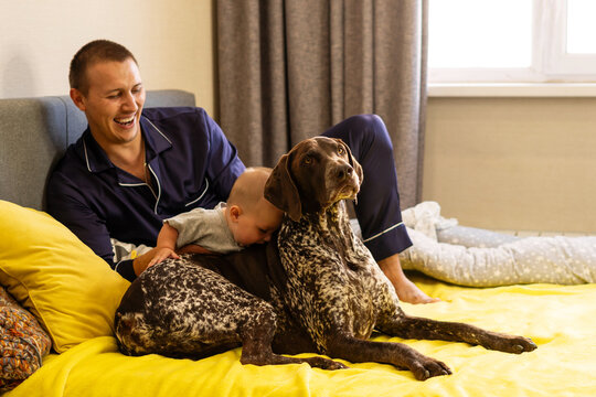 Baby Son Cuddling German Shorthaired Pointer Beside Father