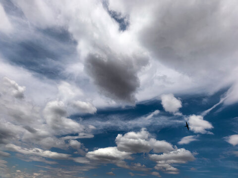 Dramatic Storm Clouds Over Blue Summer Sky with Flying Bird