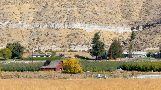 Rural landscape with old red barn and apple orchard