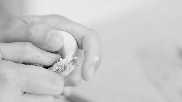 Woman hands peeling fresh white garlic in kitchen preparing healthy food