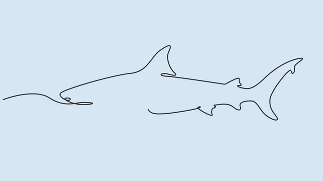Continuous One Line Drawing Animation Of Shark Swimming In Ocean Isolated On Blue Background