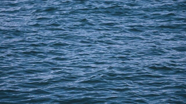 Continuous close view of rippling blue ocean water across three video frames, showing natural wave motion and a tranquil marine surface