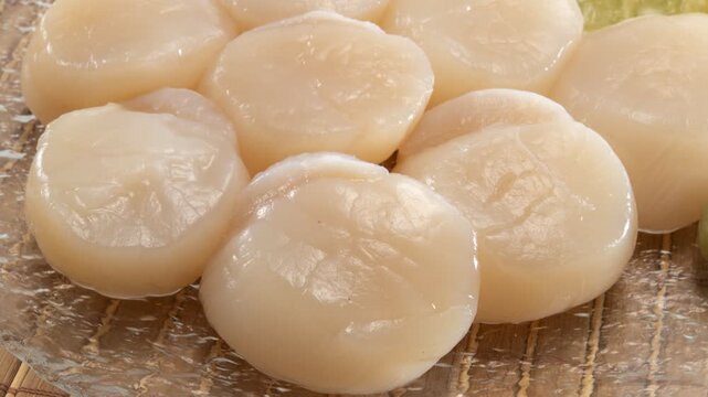 Raw scallops arranged on ice, camera zooms in and pans across the glossy adductor muscles
