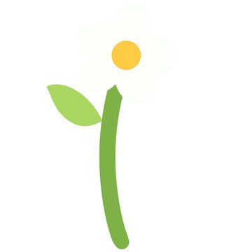 Daisy flower alphabet lettering