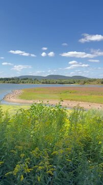 Niedrigwasser in der Auenlandschaft Hohenrode an der Weser - Niedrigwasser in der Auenlandschaft Hohenrode bei Rinteln. Freiliegende Uferfl&auml;chen und Vegetation zeigen die Auswirkungen sommerlicher Tro