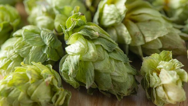 Dried hop cones scattered on a wooden surface, used as a key ingredient in beer brewing for bitterness and aroma, representing craft beer, brewery culture, and agricultural harvest.