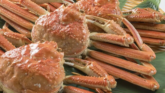Whole boiled snow crabs piled together with legs and claws spread out, camera zooms in and pans across the shells