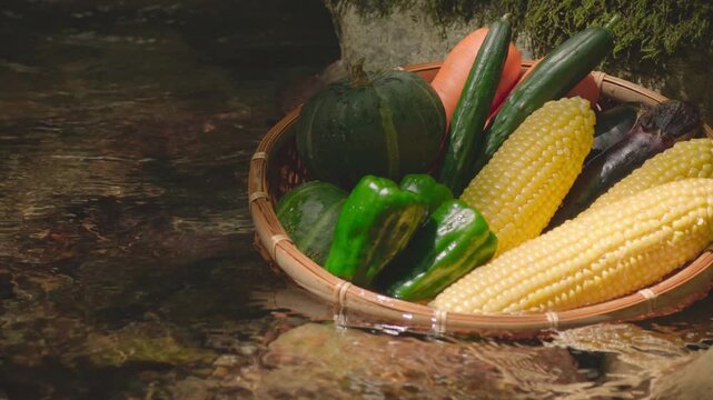 清流に浸した夏野菜